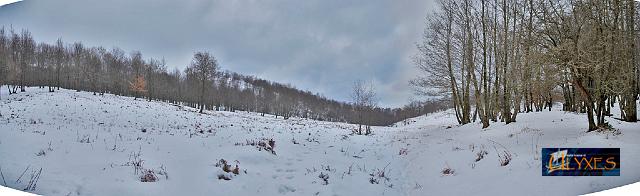 panoramica piano del ceraso.JPG